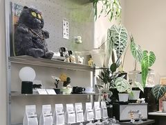 -Dogi&kiki Coffee(中心商务大厦店)