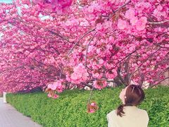 -旅顺留声机博物馆