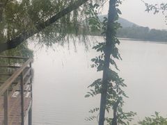 -东湖食堂·湖景餐厅•会议