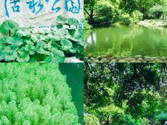 -成都市活水公园