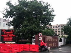 -上海市松江区泗泾医院