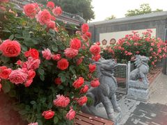 -张记焖窑·十五年专注焖烤(雍和宫店)