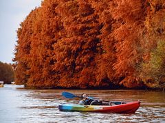 -上海海湾国家森林公园
