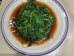 -张鸟园农家乐(张鸟园店)