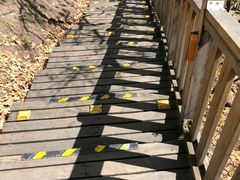 -帽儿山国家森林公园