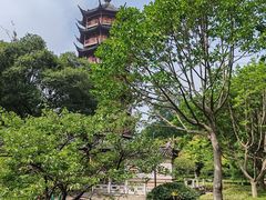-红梅公园