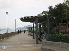 -梅窝