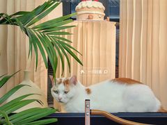 -B.O.M波姆烘焙(凤凰街店)