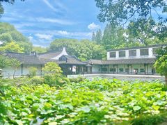 -上海醉白池公园