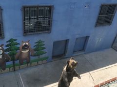 -青藏高原野生动物园