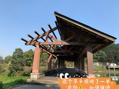 -铁山坪森林公园