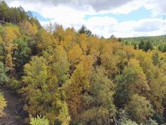 -塞罕坝国家级自然保护区