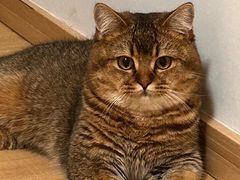 -芭比堂动物医院广州顽皮分院