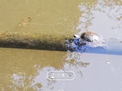 -杭州黄龙洞