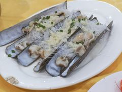 爱尔兰圣子皇-蚝专家(北滘店)