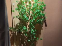 -泰·菩提树下[泰式按摩x精油SPAx肩颈头疗](新景店)