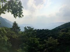 -广州市石门国家森林公园