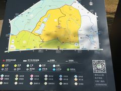 -莲花山公园