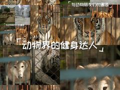 -南昌动物园