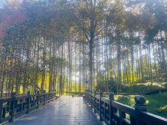 -唐崖土司城遗址