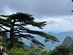 -黄山风景区
