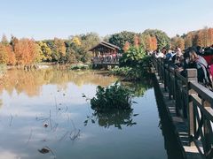 -海珠湖公园