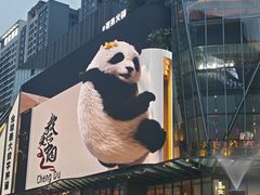 -合景·悠方(成都店)