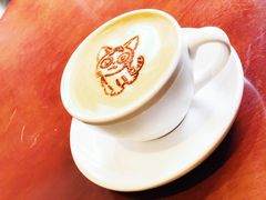 -吉丁鸟咖·异宠·寄养