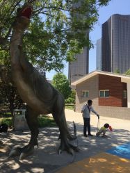 -大望京儿童游乐场