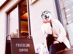 门面-Punchline Coffee&Roaster(同济大学店)