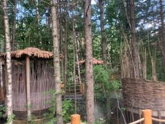 -长白山聚龙火山温泉