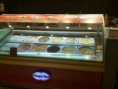 -哈根达斯(西安高新店)