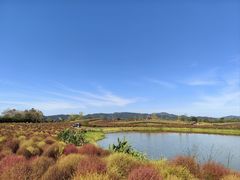 -径山花海