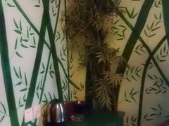 竹海恋歌 小桌和竹椅-万爱情侣主题酒店(马甸店)