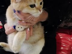 景观位-咖法森林·咖啡  酒吧(天河店)