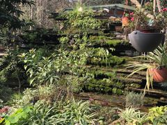 -凤来栖·净庭院·火锅(欧尚店)