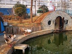 -南宫五洲植物乐园