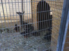 -北京园博大酒店