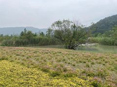-南北湖风景区