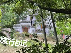 -塔川景区