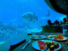 -海棠湾洲际-涛·海底餐厅·龙虾·牛排·美人鱼