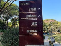 -五缘湾湿地公园