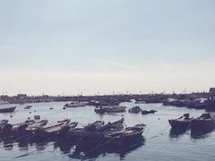 -海味当家·蒸锅海鲜(中山广场创始店)