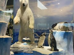 -国家自然博物馆