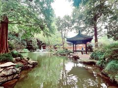 -杭州植物园