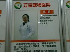 -创凡宠物医院·骨专科  猫科中心(西乡分院)
