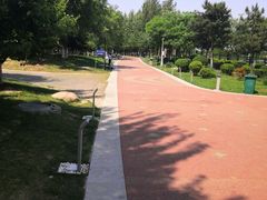 -莫子山公园