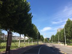 内环路-河南财经政法大学(郑东校区)