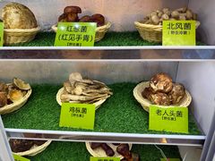 -菌海森林·非遗野生菌火锅(西山区滇池路摩根道店)