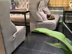 -吱咖啡西式简餐